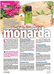 Discovering monarda essential oil